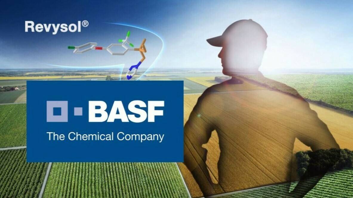 basf-revysol (2)